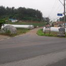 숲속민박 이미지