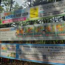 신흥초등학교/신흥유치원 | [익산여행] 익산 신흥공원 유아숲체험원 주말 방문기: 주차, 예약 방법과 초등 고학년 필수 주의사항