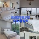 경주신라풀빌라 - 17476 | 애견동반 가능한 경주오션뷰 독채 풀빌라 다녀온 후기 - SSD풀빌라