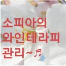 소피아 에스테틱