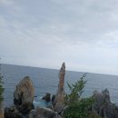 다온공인행정사 이미지