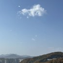 오남호수동물병원 | 오남저수지 카페 실버팟, 오남저수지단풍 남양주조용한카페 오남호수공원