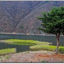 고향에봄 이미지