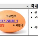 스페인서 달걀 121만개 수입…정부 “AI 수급 악화에 선제 대비” 이미지