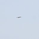 낙동강변13 이미지