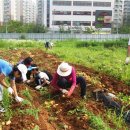 서남경로당 이미지