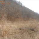 춘천지방법원 영월지원 이미지