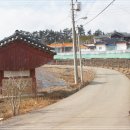 홍정희효자문 이미지