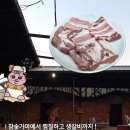 동전 | 경남 산청 여행 이색데이트 고기 구워먹는 찜질방 원조지리산참숯굴찜질방 솔직후기