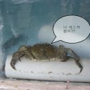 실컨
