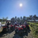 해비치마을 체험장 | 남원읍 가볼 만한 곳 추천! 제주 옷귀마테마타운에서 짜릿한 제주 ATV 라이딩~