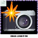 댕다락 | 식사동 애견카페 피터펫츠 가격 및 후기 추천 리뷰 주차 예약 알아볼까요
