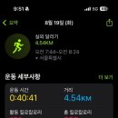 저녁요가 이미지