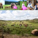 광현목장 이미지