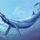 ＜코리안신대륙발견＞ 문무대왕의 해중대룡(海中大龍) 대분석(1): 범고래떼가 만들어내는 멀티-혹등의 비밀 이미지