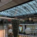 지예민박 이미지