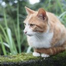 쉬어가는 공간 이미지