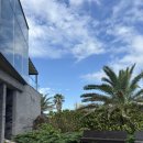 순희향채 이미지