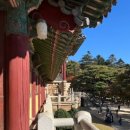 보불로(서) | 단풍 맛집, 경주 불국사 + 석굴암 당일치기 여행 후기!