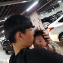 롯데광명타미힐피거