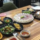 회뜨는아지야 티스토리