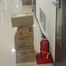 댕댕스낵 | 2025.09.29-05 30대 자취 일기 일상 후기