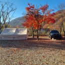 &#39;이편한펜션캠핑&#39; 단풍캠🍁 최고