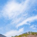 경남카 | 경남 하동 케이블카 가격 예약 카페 다녀온 후기