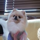 봉구의류