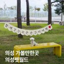 성보펫케어(주) | 경북 의성 애견동반 가볼만한곳 대구 근교 강아지 수영장 의성펫월드