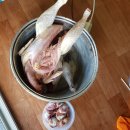 현철농장 이미지