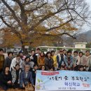 소호 숲 이미지