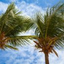 후메디팜 이미지