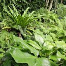 아버지농장 이미지