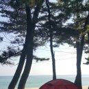 등명해변 이미지