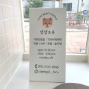 댕댕포유 이미지