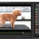 (주)에듀펫 이미지