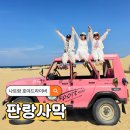수평목장 | 나트랑 판랑사막 단독투어 호아드라이버 내돈내산 후기