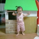 뚱보 고양이 이미지