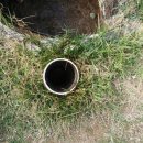 조크리닝 이미지