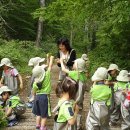 꽃숲유치원 이미지