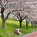 가곡체육공원 이미지