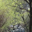 천주산 만남의 광장 이미지