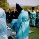시향헌