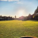 랩도그빌 이미지