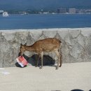 신사1-006 이미지