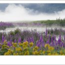 안천농장 이미지