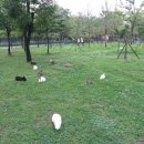 월미뽑기 이미지