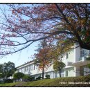 명당축산 이미지