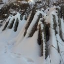 골짜기농장 이미지